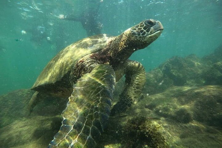 4 Day Galapagos Complete Experience Extra Night