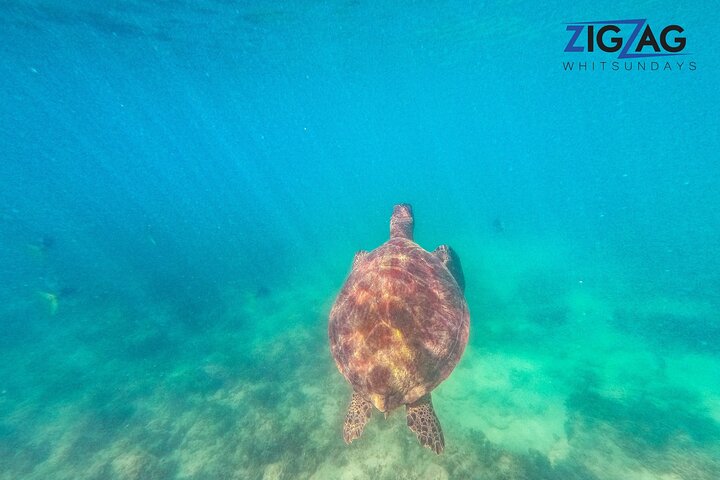 Whitehaven Beach Tour: 2 Options - All Day Beach Or Snorkel