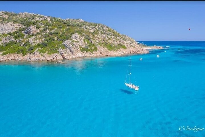 Olbia Catamaran Tour for Dolphin Research and Tavolara Marine Park