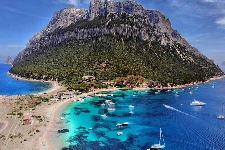 Olbia Catamaran Tour for Dolphin Research and Tavolara Marine Park