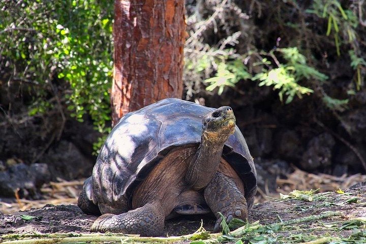 4 Day Galapagos Complete Experience Extra Night