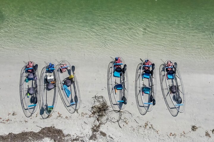 Clear Kayak Tour of Shell Key Preserve and Tampa Bay Area