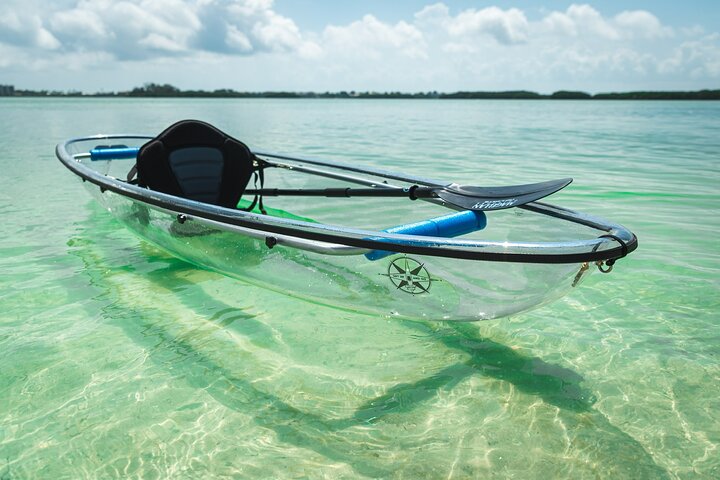 Clear Kayak Tour of Shell Key Preserve and Tampa Bay Area
