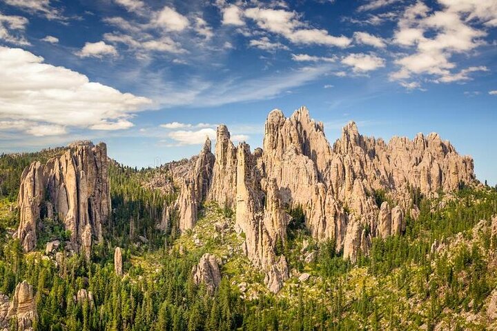 Private Half Day Mt Rushmore & Black Hills Tour