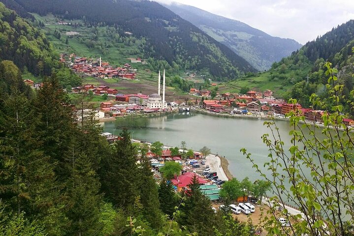 Uzungol Tour: Full-Day Nature Adventure with Tea Factory Visit