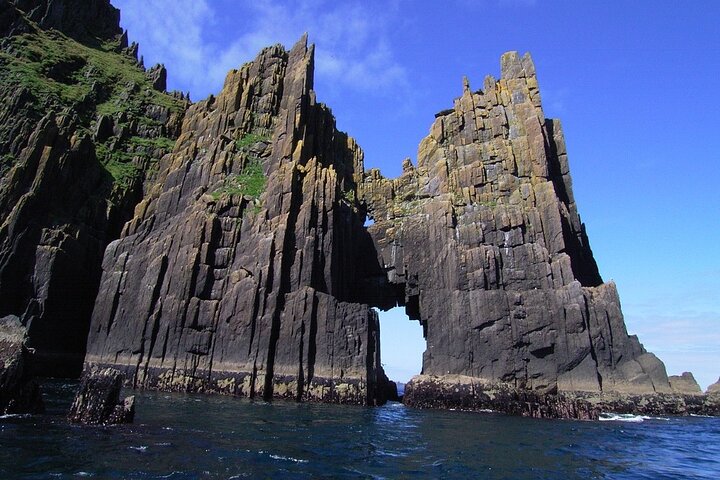 Dingle Boat Tours Wildlife RIB Adventure