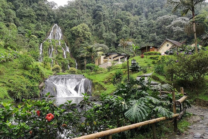 Santa Rosa de Cabal and Hot Springs Day Trip