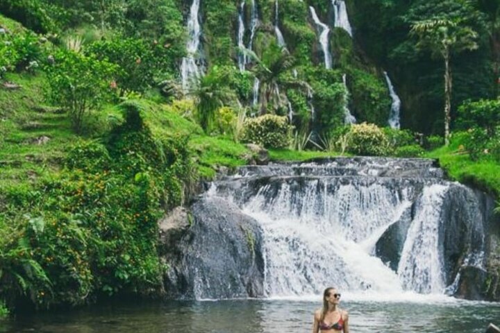 Santa Rosa de Cabal and Hot Springs Day Trip