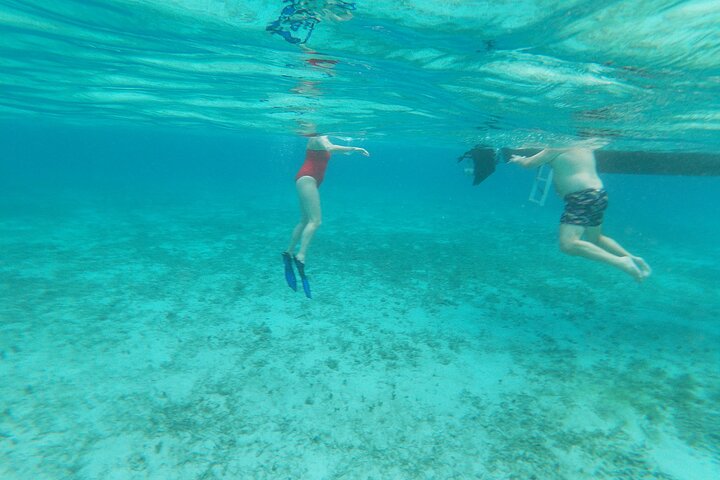 Stingray City, Star fish Point and Snorkeling Private Boat Tour