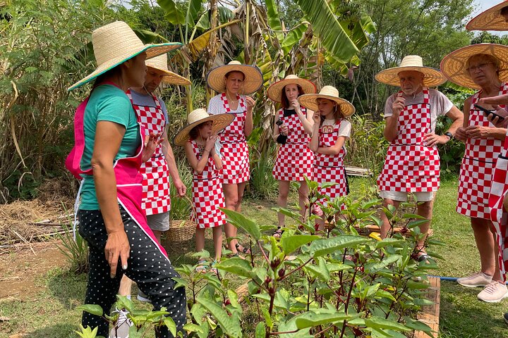 Half-Day Thai Cooking Class at Organic Farm in Chiang Mai