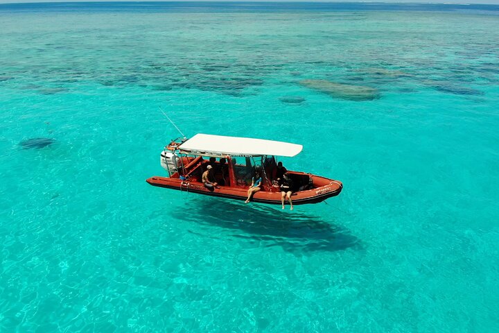 Full Day Nouméa Signal Island Turtle Tour