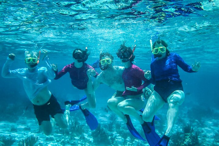 Starfish Point, Stingray City-Sandbar & Coral Gardens