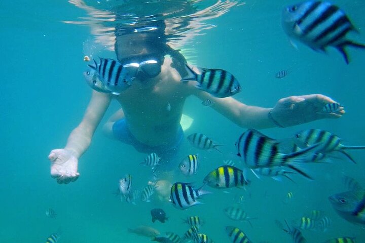 Bintan Snorkeling Tour