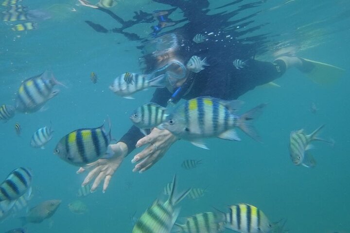 Bintan Snorkeling Tour