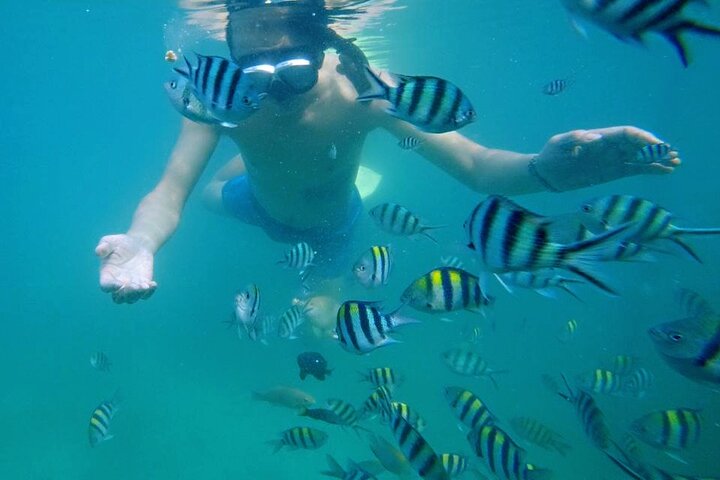 Bintan Snorkeling Tour