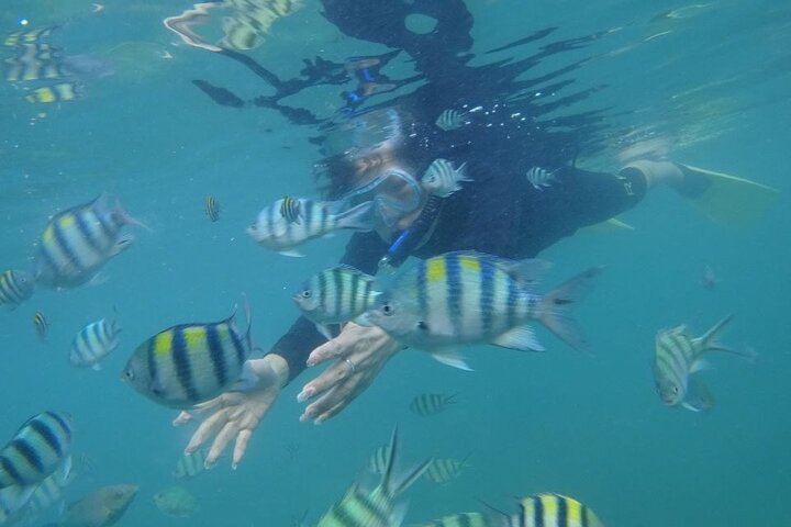 Bintan Snorkeling Tour