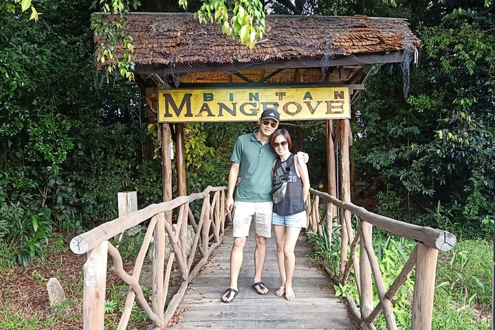 Bintan Mangrove Discovery Tour
