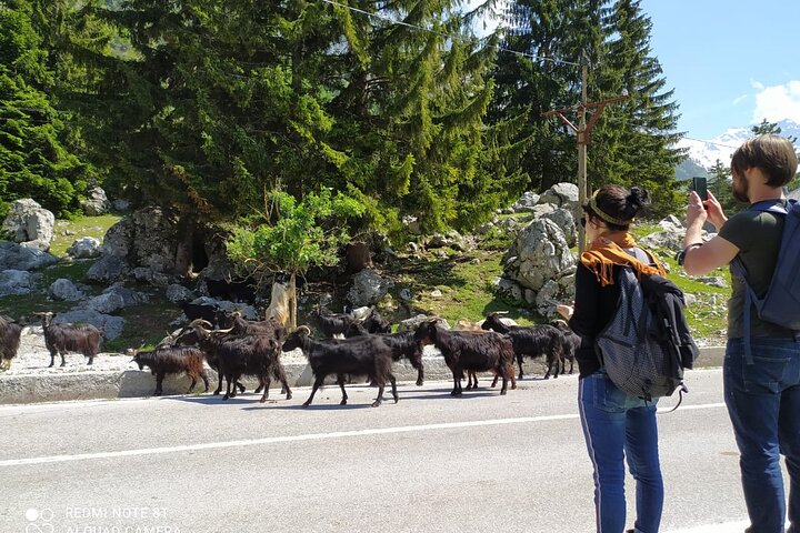 Self-Guided Hiking Tour: Theth, Valbona & Koman Lake in 3 Days