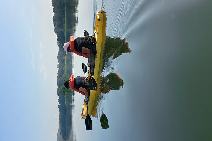 Kayaking tour in the Chagres River