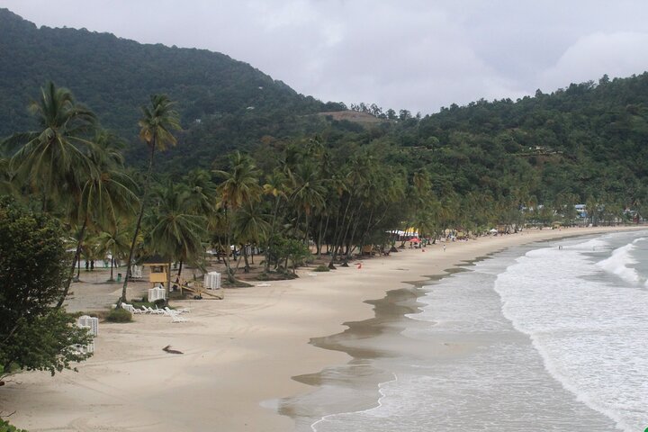 Discover Port of Spain & Maracas Beach – Scenic Trinidad Day Tour