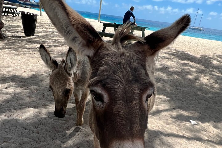 GRAND TURK: Luxury ATV Adventure Tour