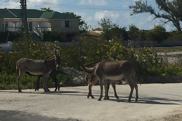 GRAND TURK: Luxury ATV Adventure Tour