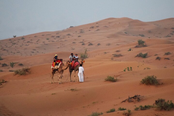 RAK Desert Safari & Dinner on sharing Basis - Pick up within RAK