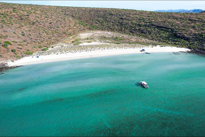 Adventure to Espiritu Santo Island: Snorkel with Sea Lions and Beach