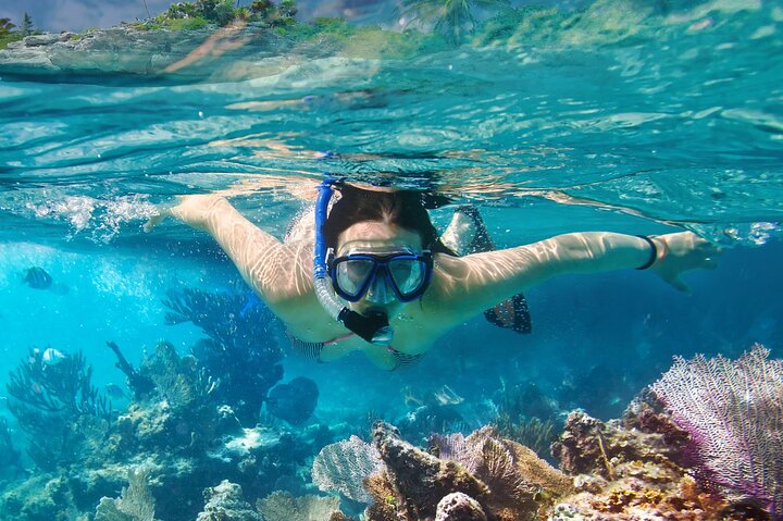 Los Tuneles Day Tour: Snorkeling, Exploring and Swimming With Wildlife