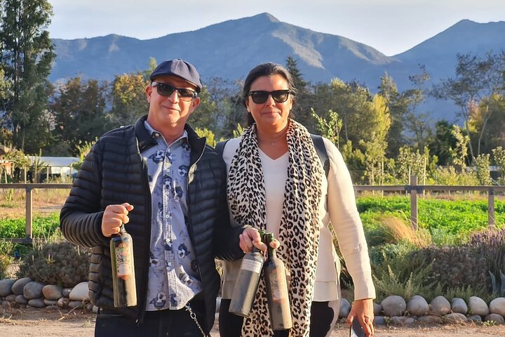 Maipo Valley Wine Tour with 4 vineyards from Santiago.