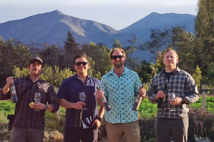 Maipo Valley Wine Tour with 4 vineyards from Santiago.