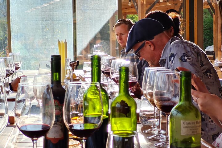 Maipo Valley Wine Tour with 4 vineyards from Santiago.