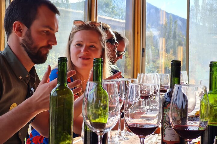 Maipo Valley Wine Tour with 4 vineyards from Santiago.
