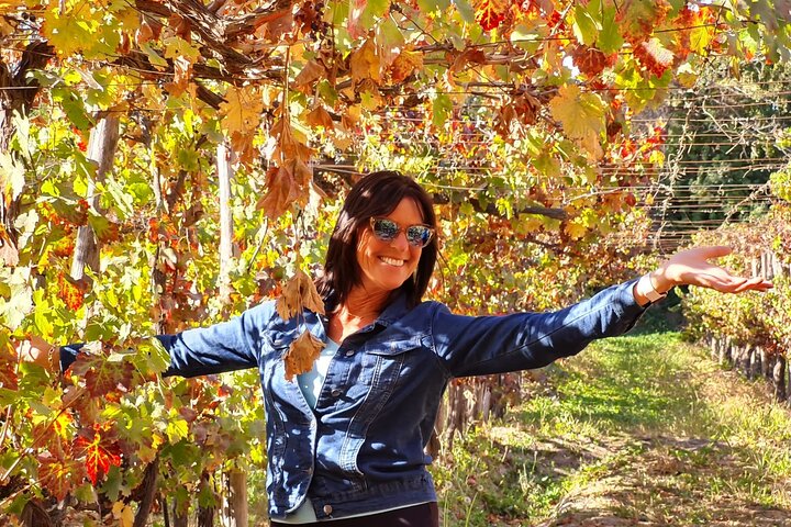 Maipo Valley Wine Tour with 4 vineyards from Santiago.