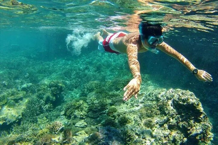 Bali Blue Lagoon Snorkeling with Lunch & Private Hotel Transfer