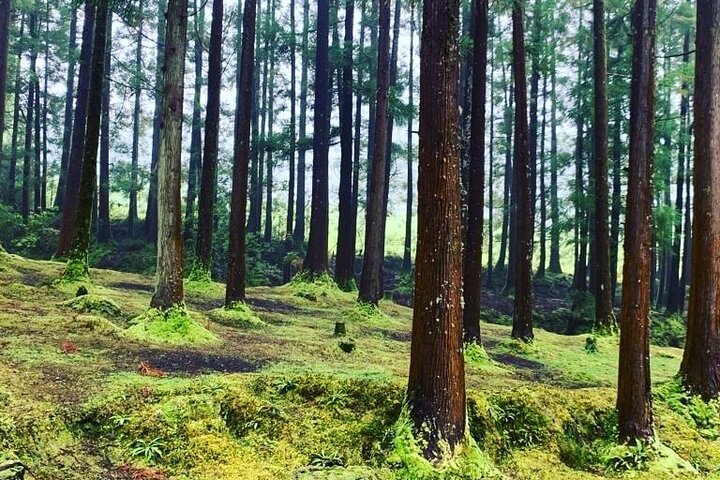 Underground Van Tour (Half Day) | Terceira Island