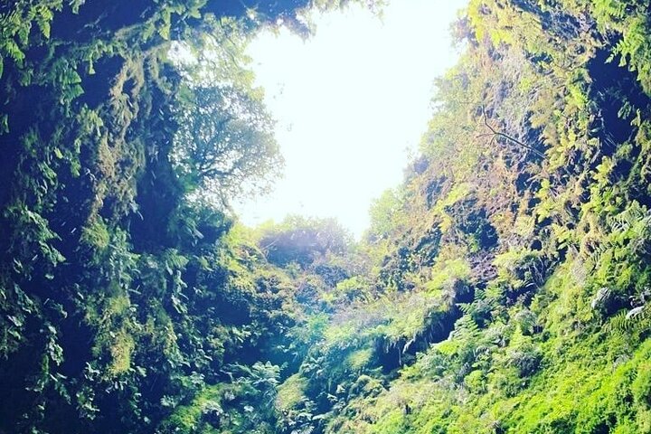 Underground Van Tour (Half Day) | Terceira Island