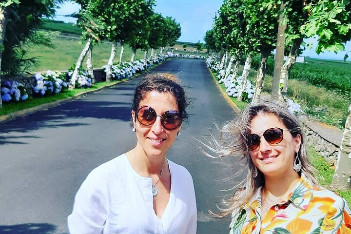 Island Van Tour (Full Day) | Terceira Island