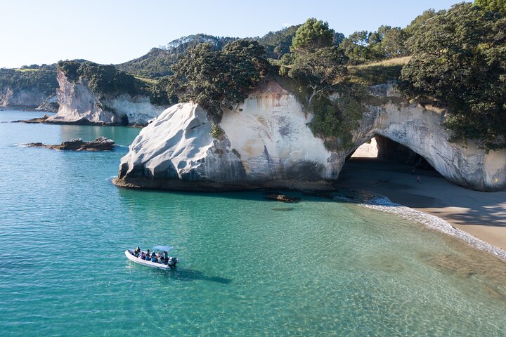 Sea Cave Adventures in the Coromandel