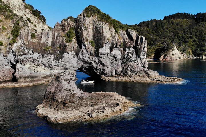 Sea Cave Adventures in the Coromandel