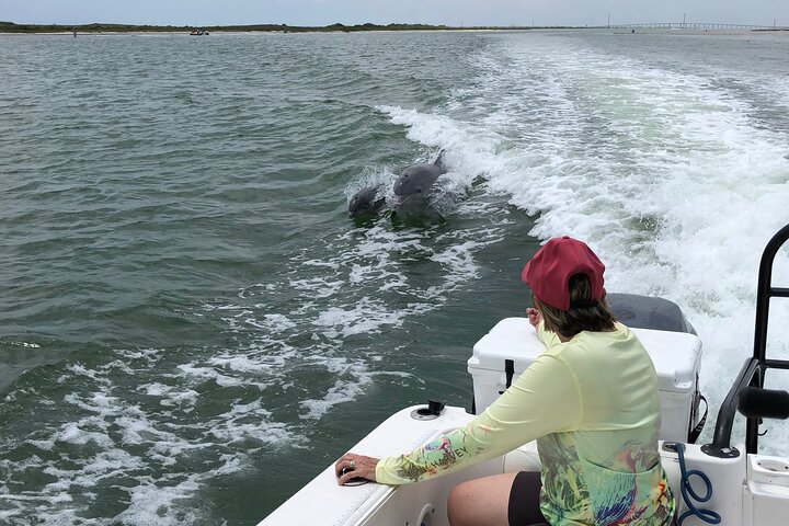 Private Dolphin Watch and Sunset Boat Tour Port Aransas Texas