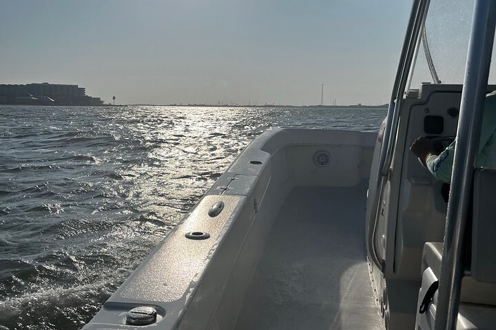 Private Dolphin Watch and Sunset Boat Tour Port Aransas Texas
