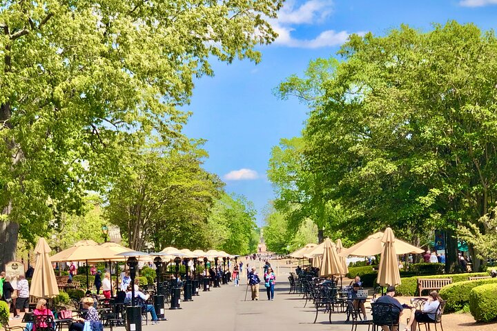 Colonial Williamsburg - Private Tour Celebrating American History