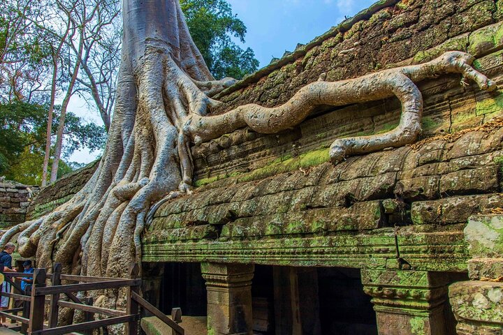 Angkor Wat Sunrise & All Highlight Angkor Temple Private Day Tour