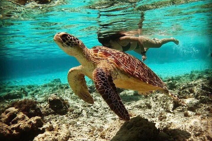 Bali Blue Lagoon Snorkeling with Lunch & Private Hotel Transfer