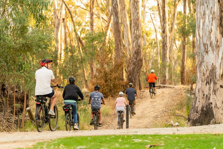 E-Mountain Bike Hire Echuca Moama - Full Day