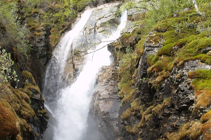 Tour to Abisko national park