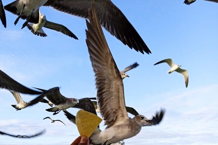 Private boat tour (3 islands tour)