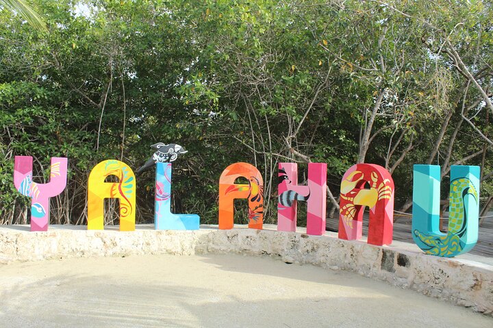 Boat Tour of Three Islands in Holbox with Transportation