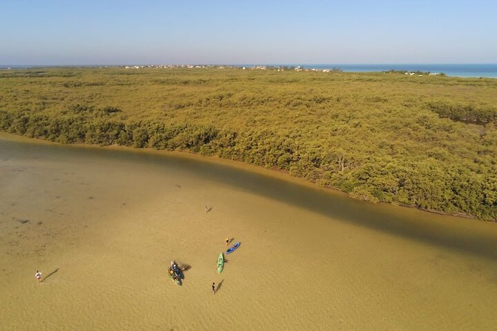 Kayak Experience in the Mangroves of Holbox Island